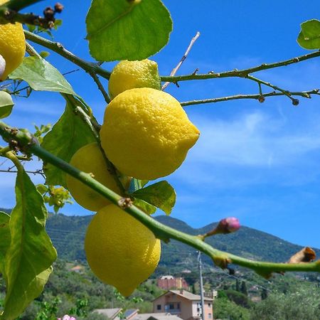 Casa Limoni Villa Монтеросо ал Маре Екстериор снимка