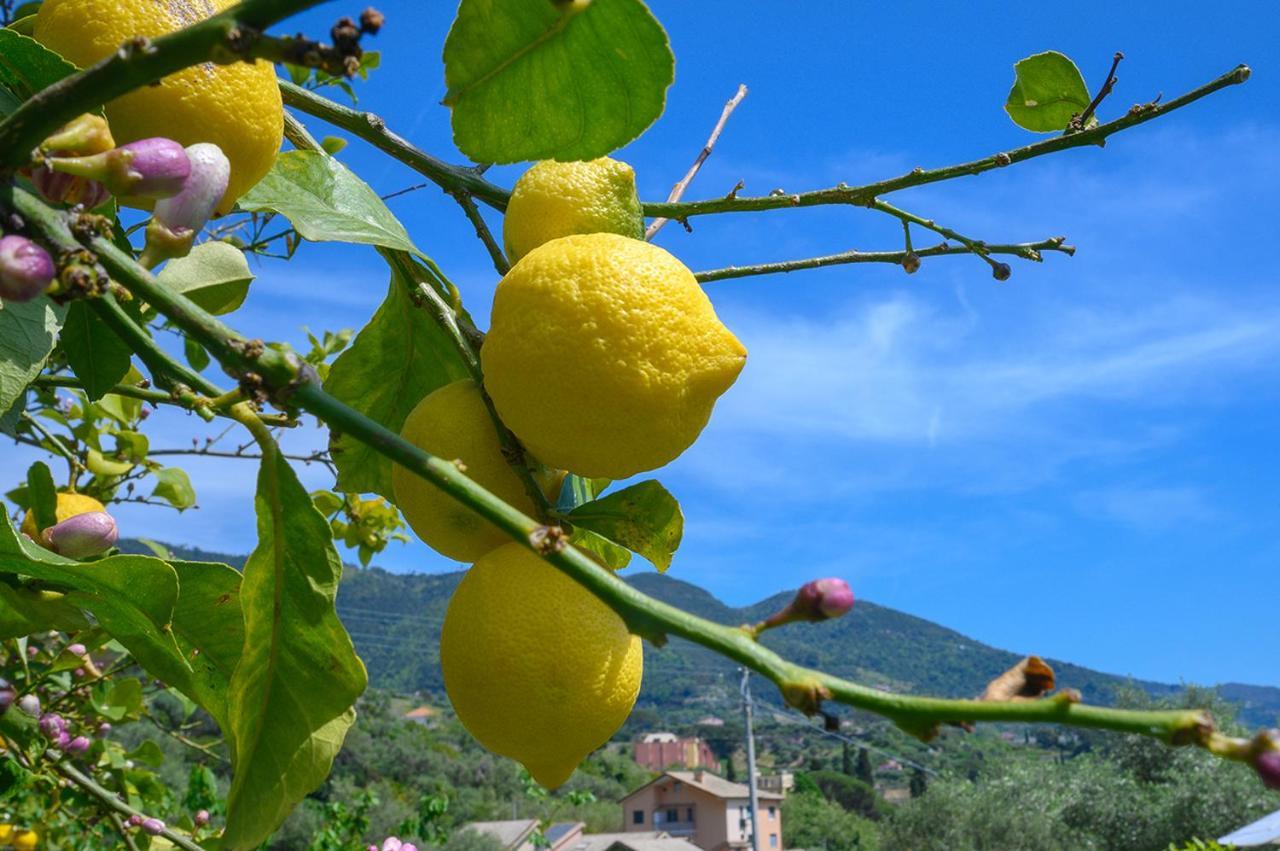 Casa Limoni Villa Монтеросо ал Маре Екстериор снимка